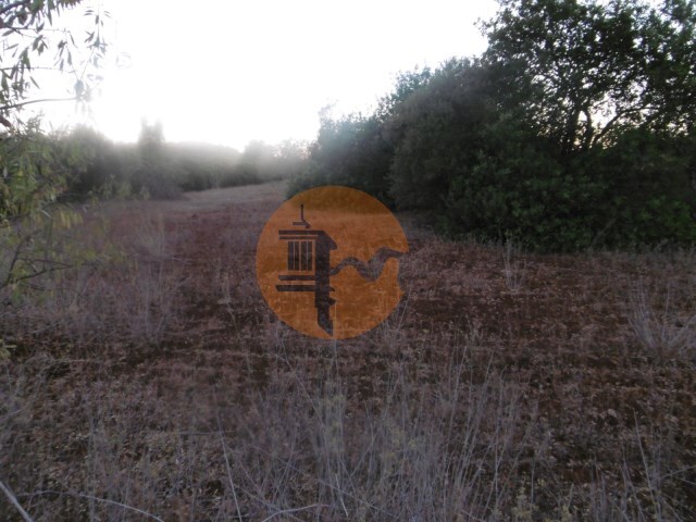 Terreno R�stico - S�o Bartolomeu de Messines, Silves, Faro (Algarve) - Imagem grande