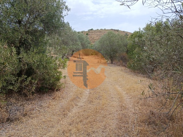Terreno Rústico - Alcoutim, Alcoutim, Faro (Algarve) - Imagem grande