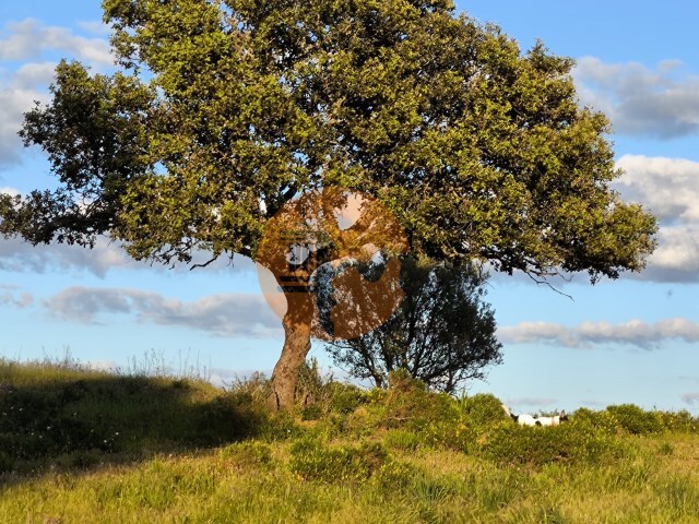 Terreno Rstico - Odeleite, Castro Marim, Faro (Algarve) - Imagem grande