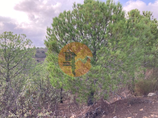 Terreno R�stico - Azinhal, Castro Marim, Faro (Algarve) - Imagem grande