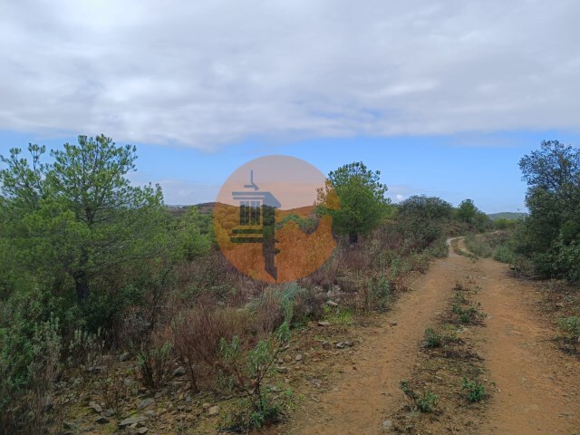 Terreno Rstico - Alcoutim, Alcoutim, Faro (Algarve) - Imagem grande