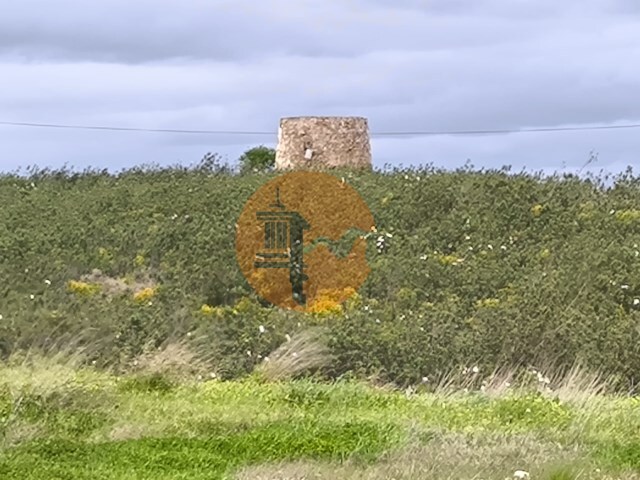 Outros - Azinhal, Castro Marim, Faro (Algarve) - Imagem grande