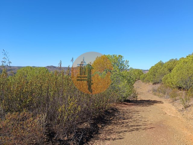 Terreno R�stico - Vaqueiros, Alcoutim, Faro (Algarve) - Imagem grande