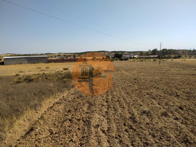Terreno R�stico - Martim Longo, Alcoutim, Faro (Algarve) - Imagem grande