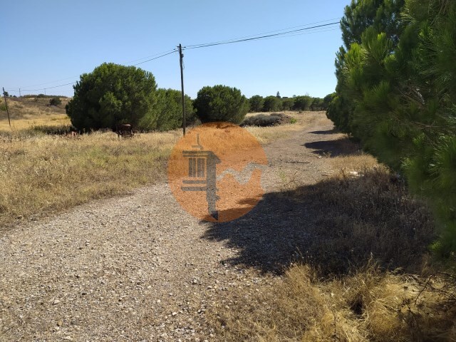 Terreno R�stico - Odeleite, Castro Marim, Faro (Algarve) - Imagem grande