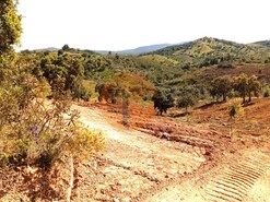 Terreno R�stico - Santa Catarina da Fonte do Bispo, Tavira, Faro (Algarve)