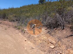 Terreno R�stico - Azinhal, Castro Marim, Faro (Algarve)
