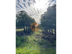 Terreno R�stico - Odeleite, Castro Marim, Faro (Algarve)