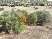 Terreno R�stico - Castro Marim, Castro Marim, Faro (Algarve) - Miniatura: 2/9