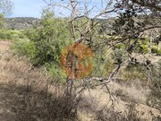 Terreno R�stico - Castro Marim, Castro Marim, Faro (Algarve) - Miniatura: 3/9