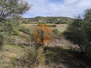 Terreno R�stico - Castro Marim, Castro Marim, Faro (Algarve) - Miniatura: 4/9