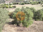 Terreno R�stico - Castro Marim, Castro Marim, Faro (Algarve) - Miniatura: 5/9