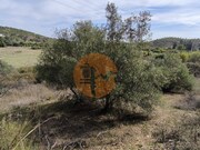 Terreno R�stico - Castro Marim, Castro Marim, Faro (Algarve) - Miniatura: 7/9