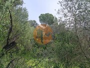 Terreno R�stico - Alcoutim, Alcoutim, Faro (Algarve) - Miniatura: 4/9
