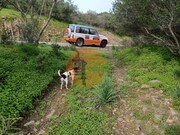 Terreno R�stico - Alcoutim, Alcoutim, Faro (Algarve) - Miniatura: 5/9