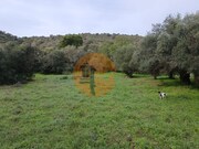 Terreno R�stico - Alcoutim, Alcoutim, Faro (Algarve) - Miniatura: 6/9
