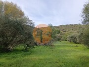 Terreno R�stico - Alcoutim, Alcoutim, Faro (Algarve) - Miniatura: 7/9