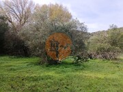 Terreno R�stico - Alcoutim, Alcoutim, Faro (Algarve) - Miniatura: 9/9
