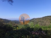 Terreno Rstico - Alferce, Monchique, Faro (Algarve) - Miniatura: 2/9