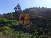Terreno Rstico - Alferce, Monchique, Faro (Algarve) - Miniatura: 4/9