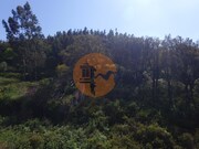 Terreno Rstico - Alferce, Monchique, Faro (Algarve) - Miniatura: 5/9