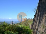 Terreno Rstico - Alferce, Monchique, Faro (Algarve) - Miniatura: 7/9
