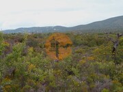 Terreno R�stico - Quelfes, Olh�o, Faro (Algarve) - Miniatura: 6/9