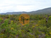 Terreno R�stico - Quelfes, Olh�o, Faro (Algarve) - Miniatura: 7/9