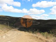 Terreno R�stico - Tavira, Tavira, Faro (Algarve) - Miniatura: 4/9