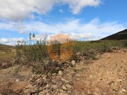 Terreno R�stico - Tavira, Tavira, Faro (Algarve) - Miniatura: 6/9