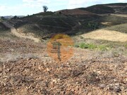 Terreno R�stico - Tavira, Tavira, Faro (Algarve) - Miniatura: 9/9