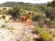 Terreno R�stico - Santa Catarina da Fonte do Bispo, Tavira, Faro (Algarve) - Miniatura: 2/9