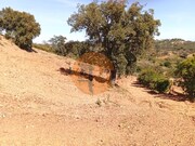 Terreno R�stico - Santa Catarina da Fonte do Bispo, Tavira, Faro (Algarve) - Miniatura: 3/9