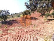 Terreno R�stico - Santa Catarina da Fonte do Bispo, Tavira, Faro (Algarve) - Miniatura: 4/9