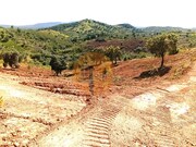 Terreno R�stico - Santa Catarina da Fonte do Bispo, Tavira, Faro (Algarve) - Miniatura: 5/9