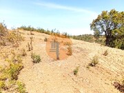 Terreno R�stico - Santa Catarina da Fonte do Bispo, Tavira, Faro (Algarve) - Miniatura: 6/9