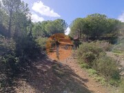 Terreno R�stico - Alcoutim, Alcoutim, Faro (Algarve) - Miniatura: 1/9