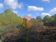 Terreno R�stico - Alcoutim, Alcoutim, Faro (Algarve) - Miniatura: 3/9