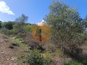 Terreno R�stico - Alcoutim, Alcoutim, Faro (Algarve) - Miniatura: 4/9