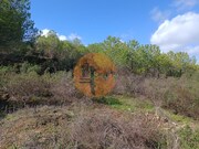 Terreno R�stico - Alcoutim, Alcoutim, Faro (Algarve) - Miniatura: 6/9