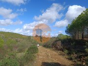 Terreno R�stico - Alcoutim, Alcoutim, Faro (Algarve) - Miniatura: 9/9