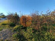 Terreno Rstico - Azinhal, Castro Marim, Faro (Algarve) - Miniatura: 3/9