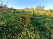 Terreno Rstico - Azinhal, Castro Marim, Faro (Algarve) - Miniatura: 9/9