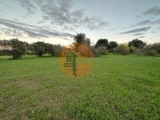 Terreno R�stico - S�o Br�s de Alportel, S�o Br�s de Alportel, Faro (Algarve) - Miniatura: 1/9