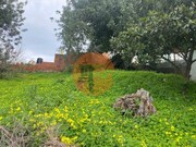 Terreno R�stico - S�o Br�s de Alportel, S�o Br�s de Alportel, Faro (Algarve) - Miniatura: 2/9