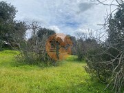 Terreno R�stico - S�o Br�s de Alportel, S�o Br�s de Alportel, Faro (Algarve) - Miniatura: 4/9