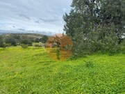 Terreno R�stico - S�o Br�s de Alportel, S�o Br�s de Alportel, Faro (Algarve) - Miniatura: 6/9