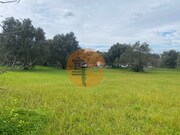 Terreno R�stico - S�o Br�s de Alportel, S�o Br�s de Alportel, Faro (Algarve) - Miniatura: 7/9