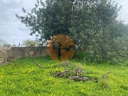 Terreno R�stico - S�o Br�s de Alportel, S�o Br�s de Alportel, Faro (Algarve) - Miniatura: 8/9