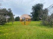 Terreno R�stico - S�o Br�s de Alportel, S�o Br�s de Alportel, Faro (Algarve) - Miniatura: 9/9